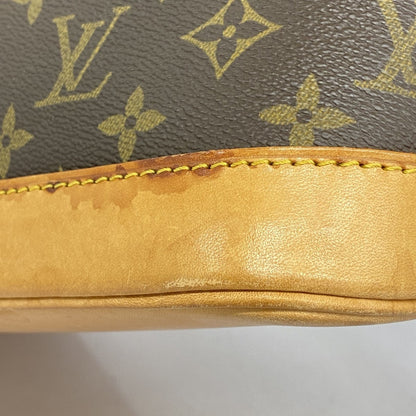Louis Vuitton Brown Canvas Alma