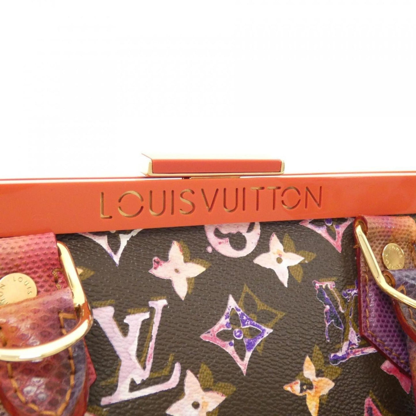 Louis Vuitton Brown Canvas Papillon