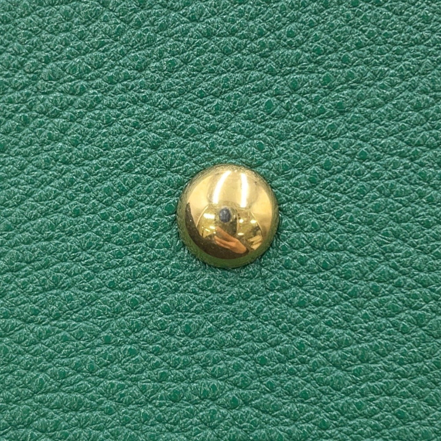 Gucci Green Leather Diana