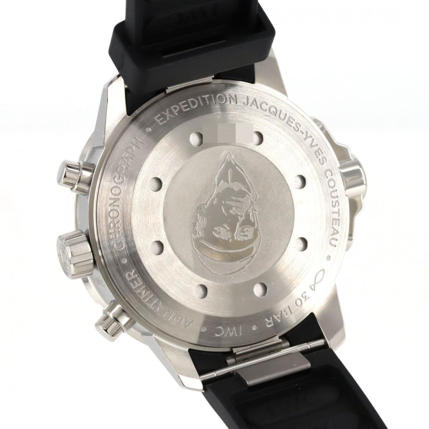 Iwc Schaffhausen Blue Rubber Watch