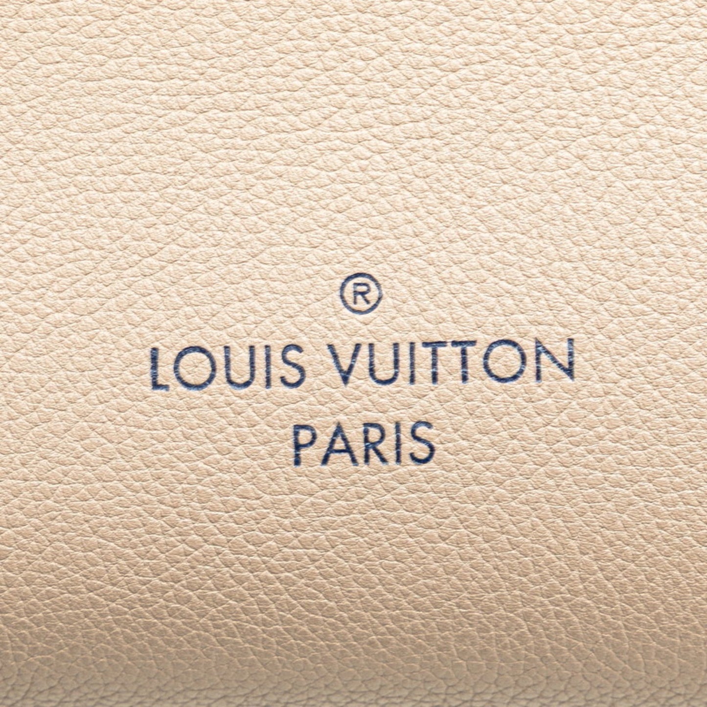 Louis Vuitton Brown Leather On My Side