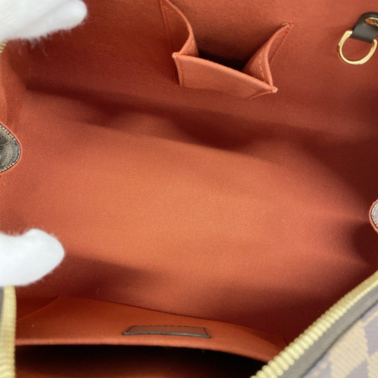 Louis Vuitton Brown Canvas Ribera