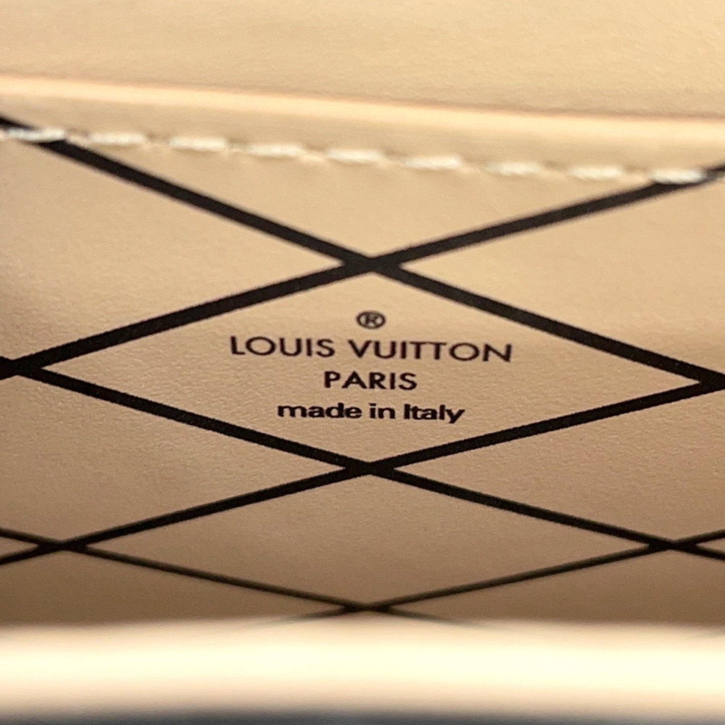 Louis Vuitton Black Canvas Pochette Trunk