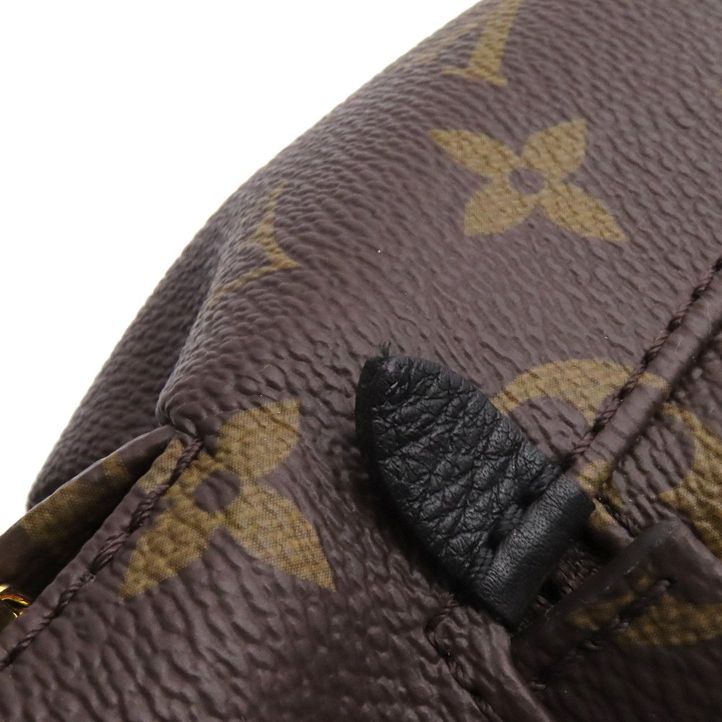 Louis Vuitton Brown Canvas Palm Springs
