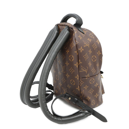 Louis Vuitton Brown Canvas Palm Springs