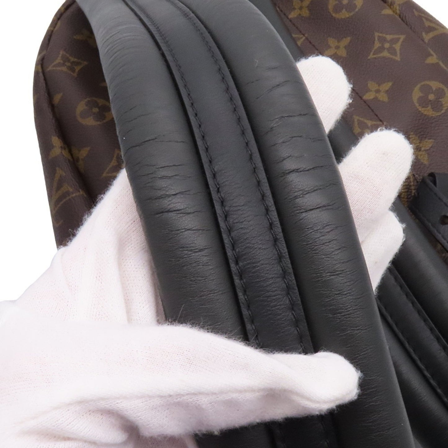 Louis Vuitton Brown Canvas Palm Springs