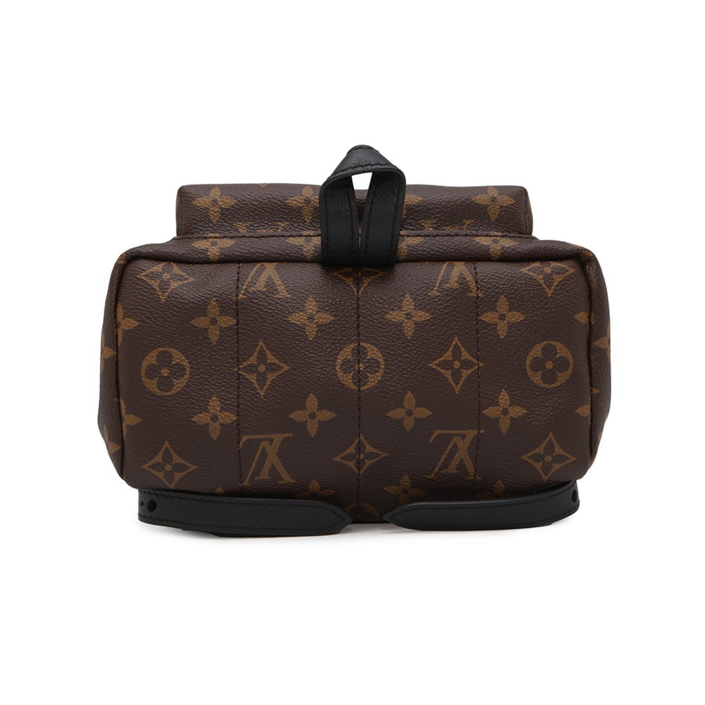 Louis Vuitton Brown Canvas Palm Springs