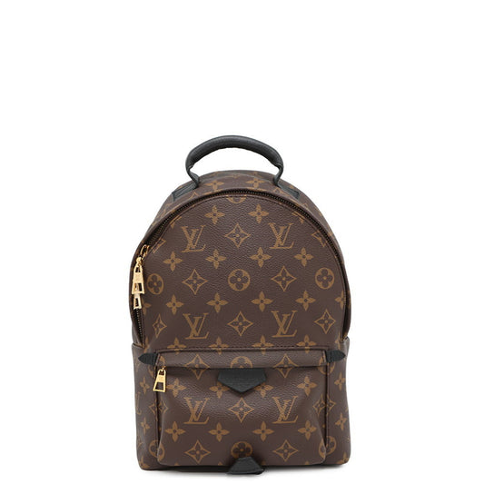 Louis Vuitton Brown Canvas Palm Springs
