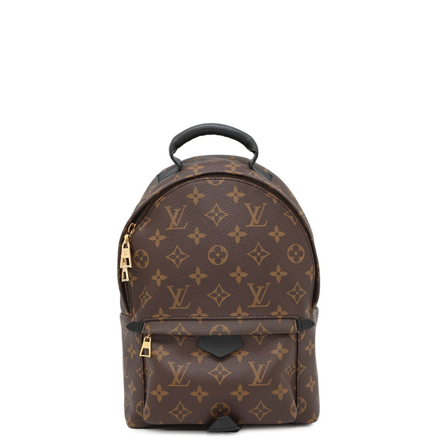 Louis Vuitton Brown Canvas Palm Springs