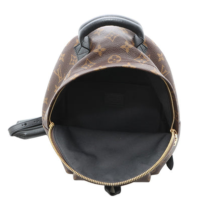 Louis Vuitton Brown Canvas Palm Springs