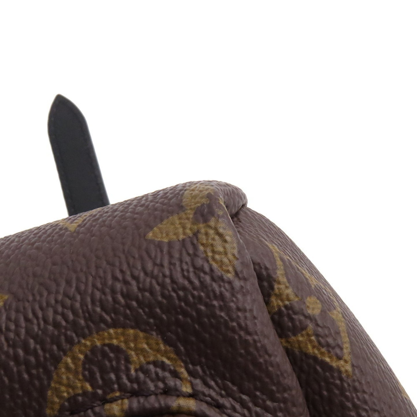 Louis Vuitton Brown Canvas Palm Springs