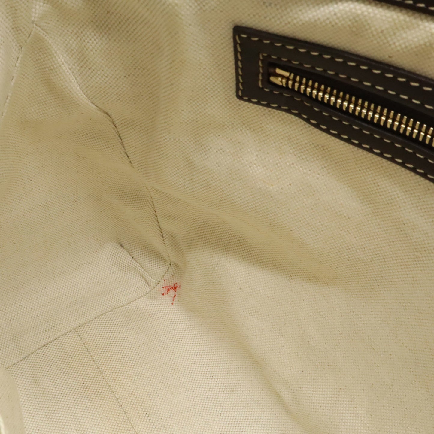 Gucci Brown Canvas Ophidia