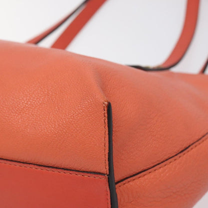 Chloé Orange Leather Dylan