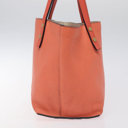 Chloé Orange Leather Dylan