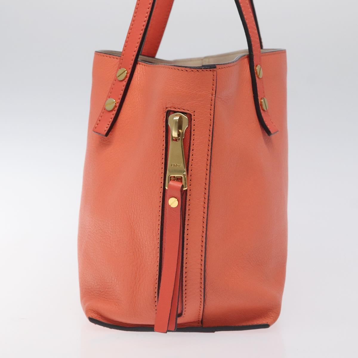 Chloé Orange Leather Dylan