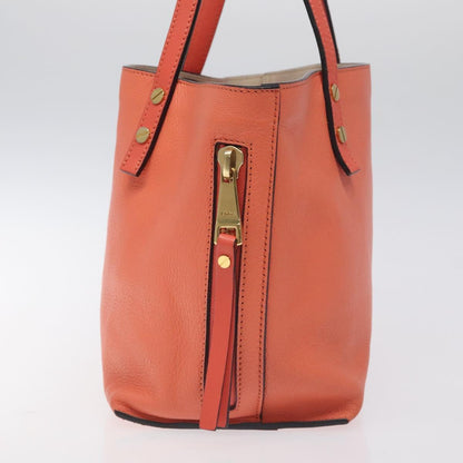 Chloé Orange Leather Dylan