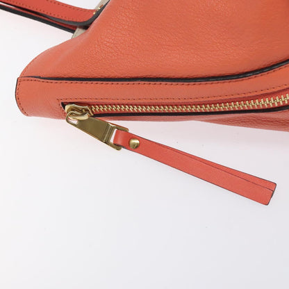 Chloé Orange Leather Dylan