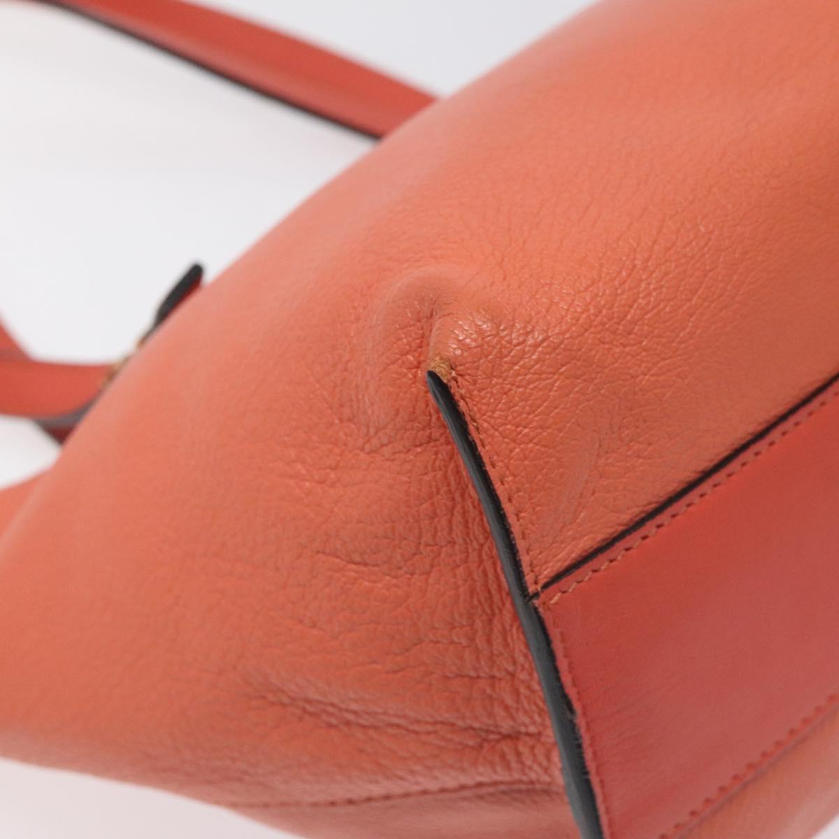 Chloé Orange Leather Dylan