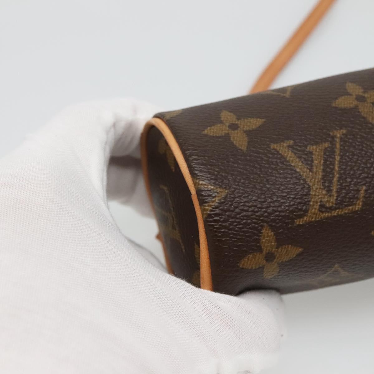 Louis Vuitton Brown Canvas Papillon