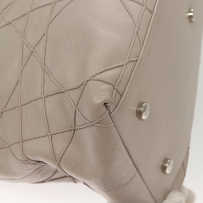 Dior Gray Leather Granville