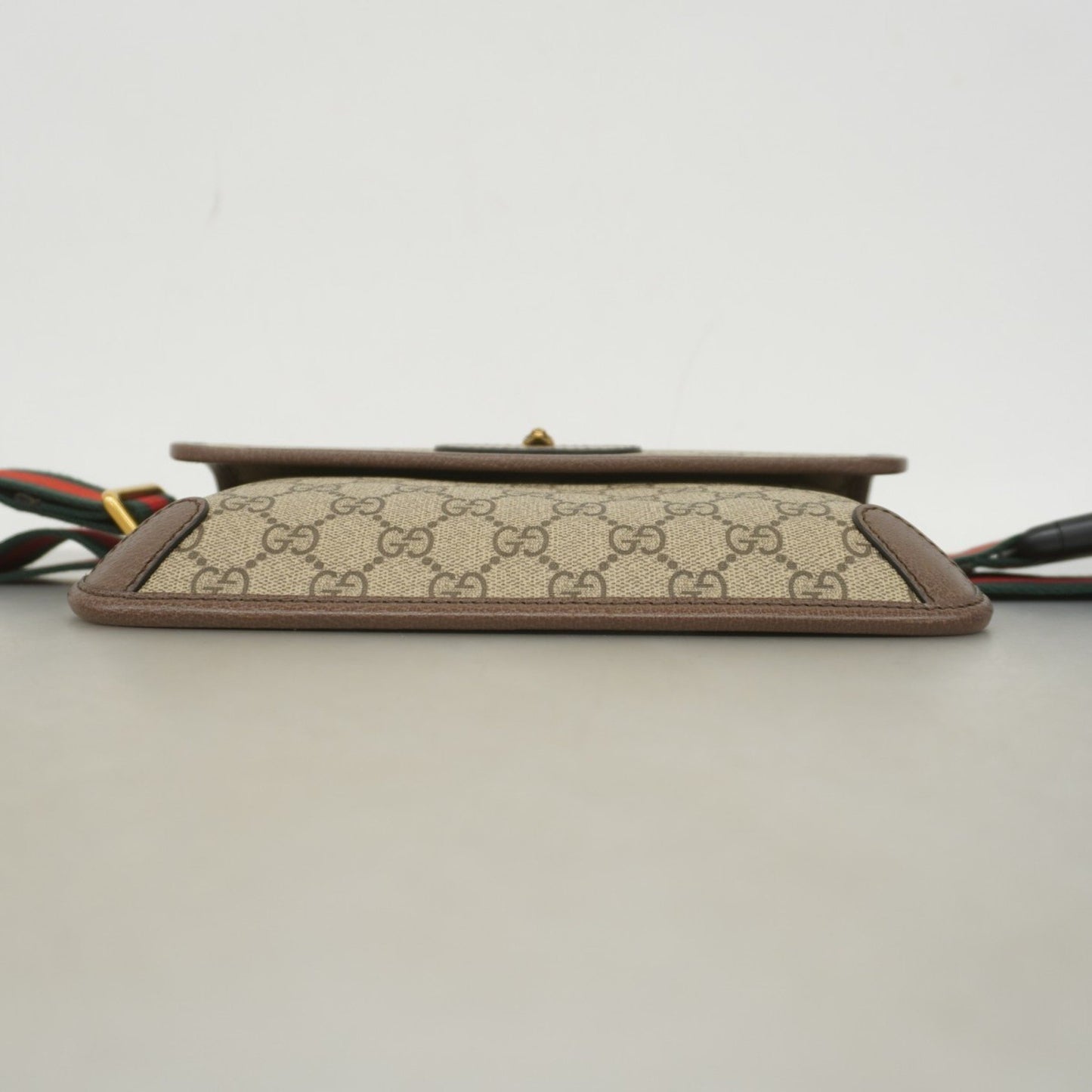Gucci Brown Canvas Ophidia