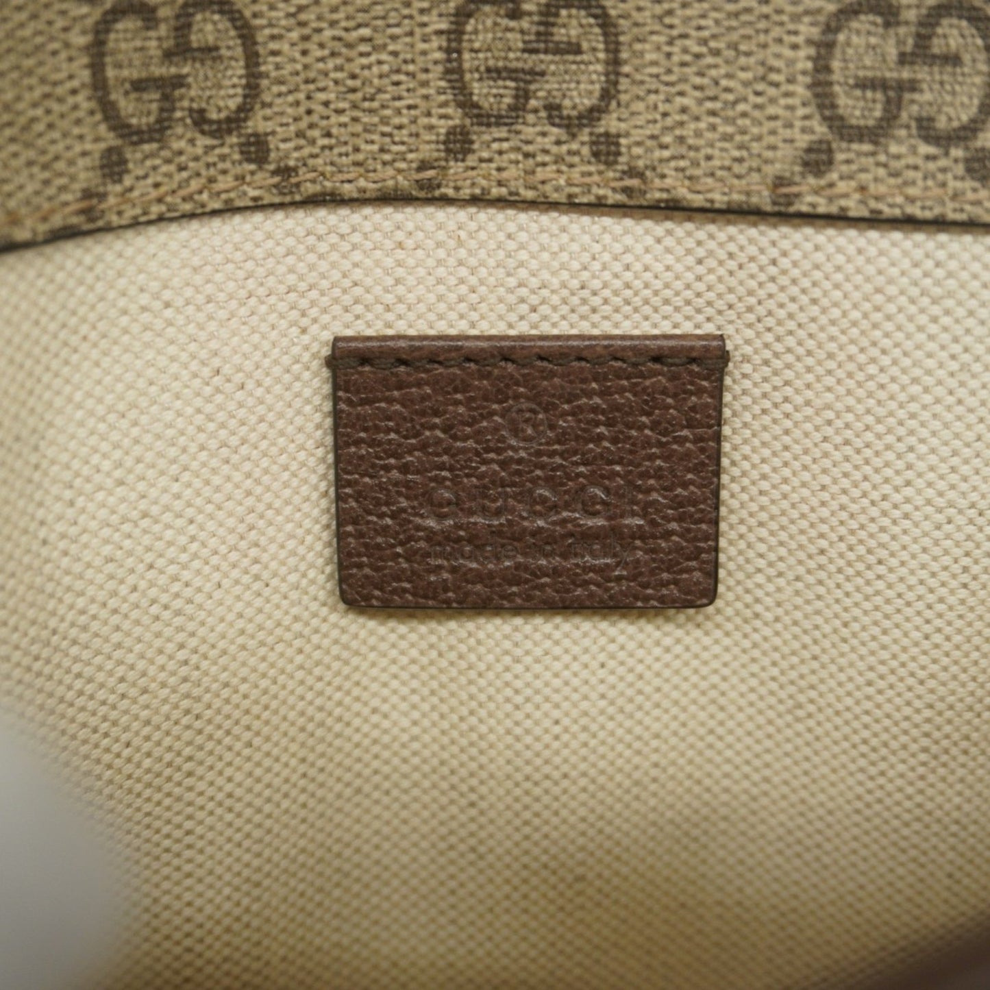 Gucci Brown Canvas Ophidia