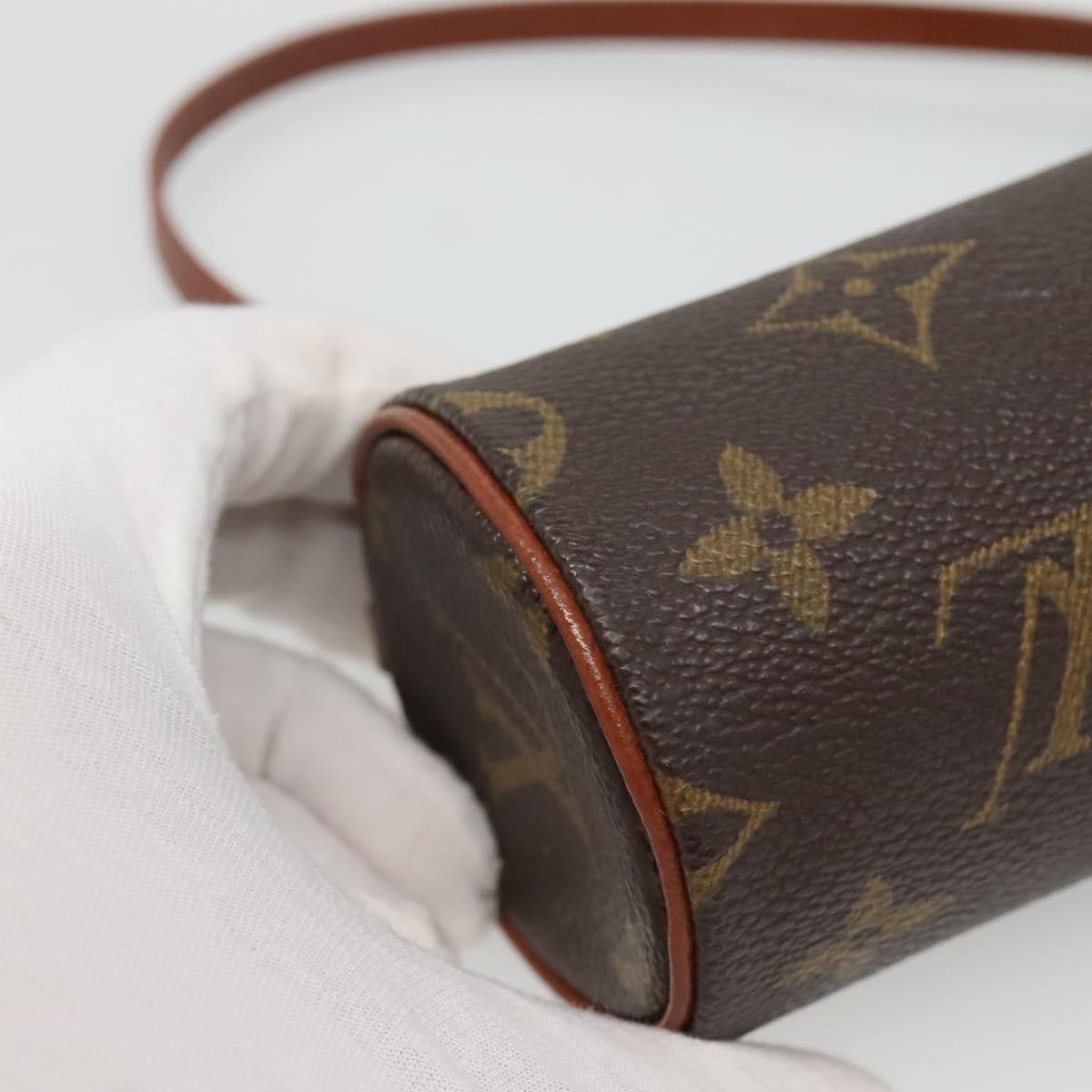 Louis Vuitton Brown Canvas Papillon