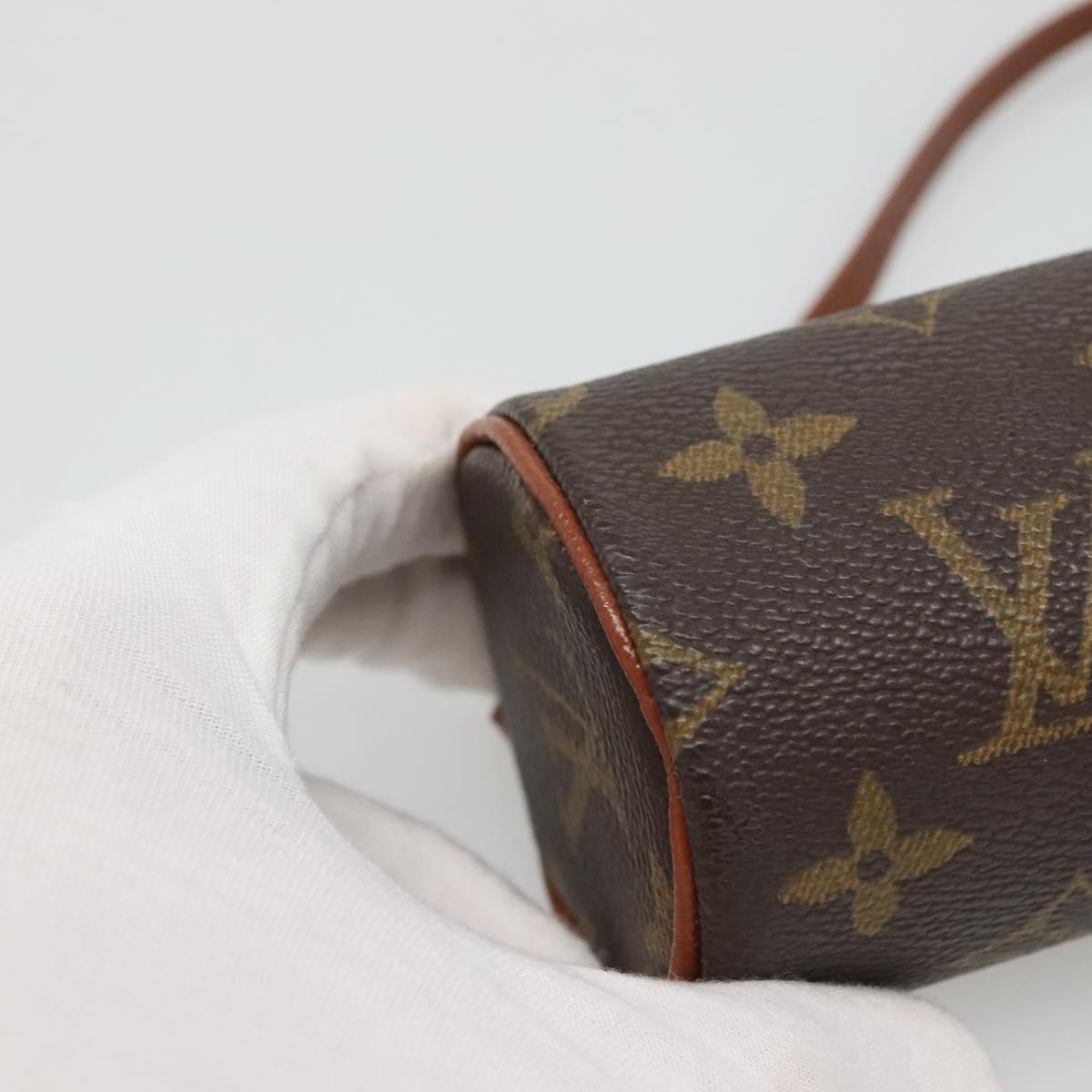 Louis Vuitton Brown Canvas Papillon