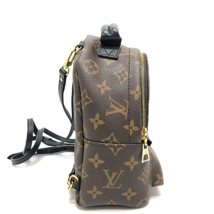 Louis Vuitton Brown Canvas Palm Springs
