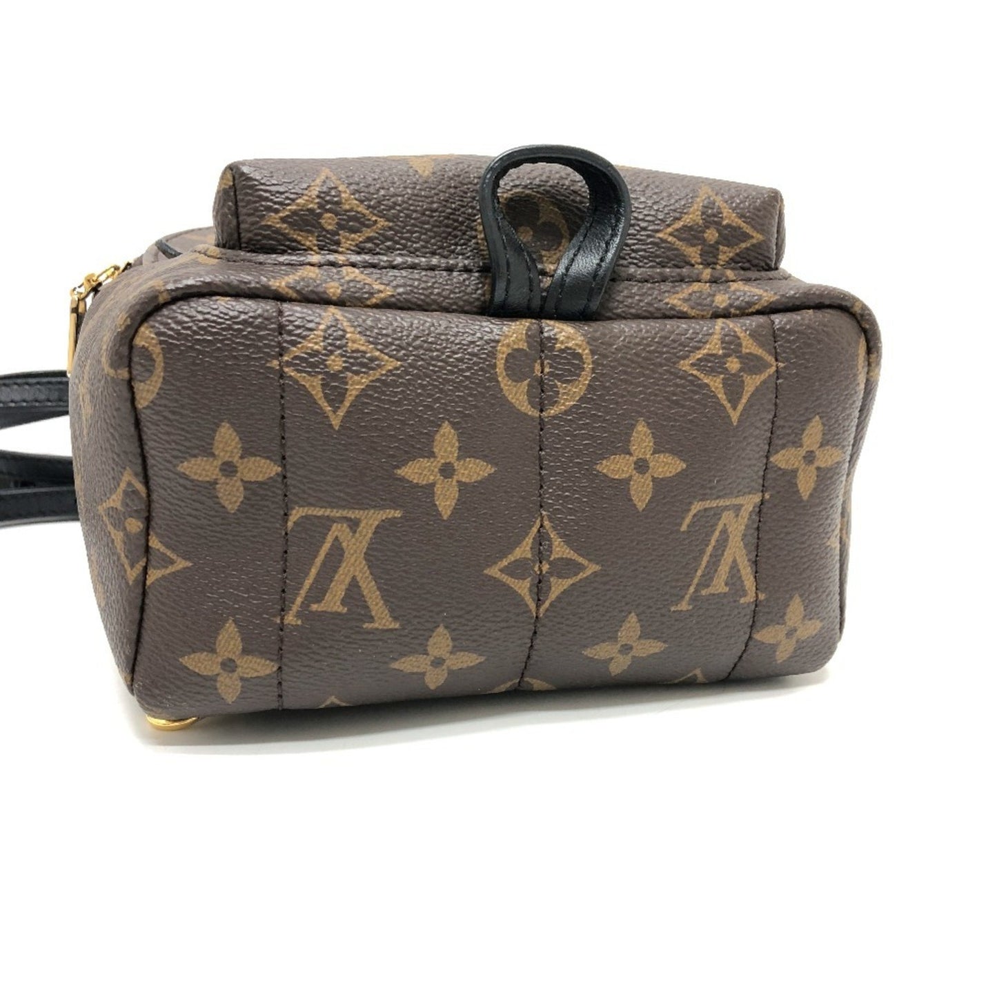 Louis Vuitton Brown Canvas Palm Springs