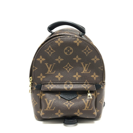 Louis Vuitton Brown Canvas Palm Springs
