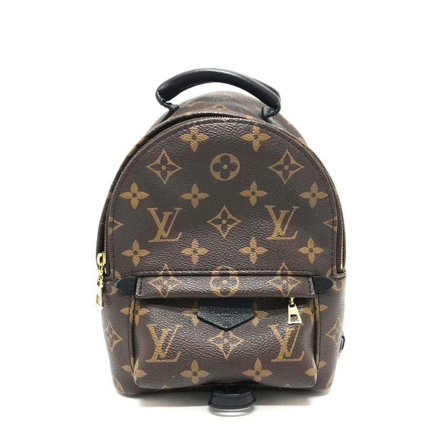 Louis Vuitton Brown Canvas Palm Springs