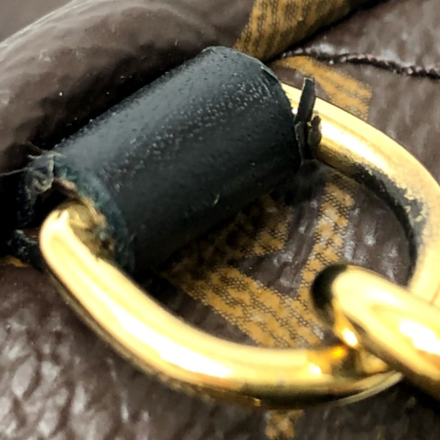 Louis Vuitton Brown Canvas Palm Springs