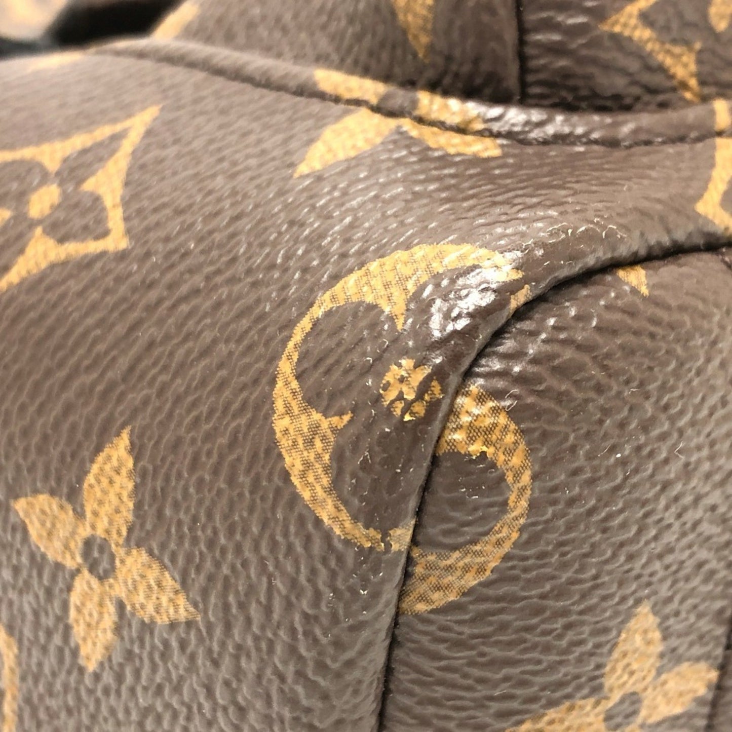 Louis Vuitton Brown Canvas Palm Springs