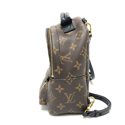 Louis Vuitton Brown Canvas Palm Springs