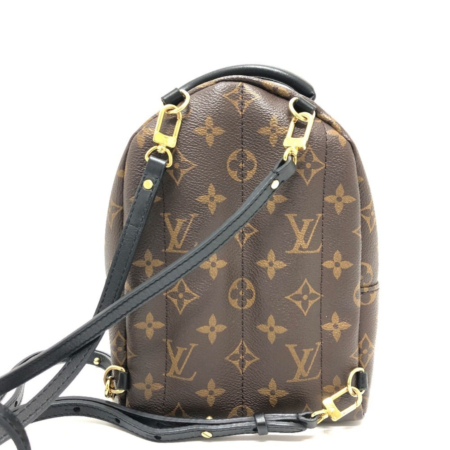 Louis Vuitton Brown Canvas Palm Springs