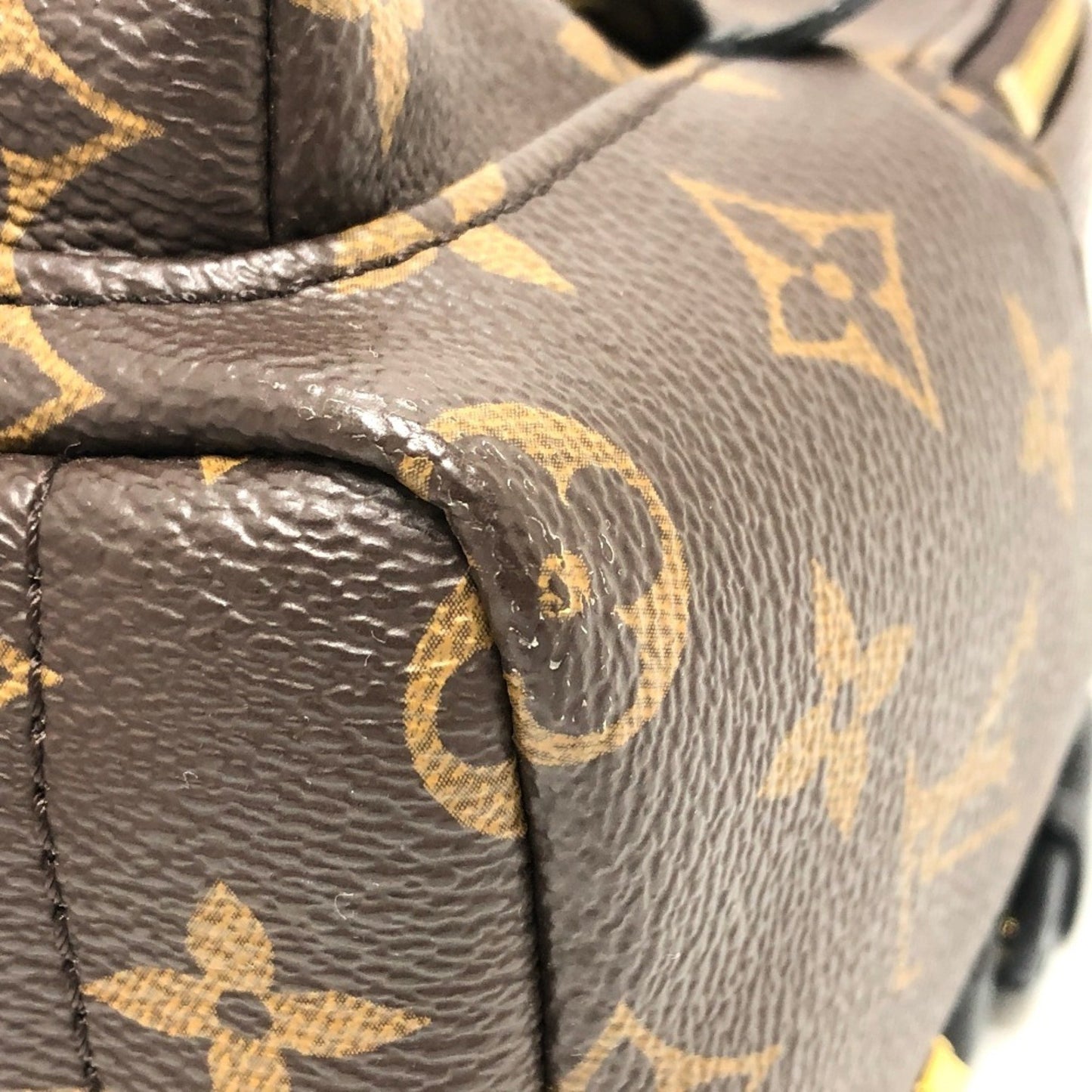 Louis Vuitton Brown Canvas Palm Springs