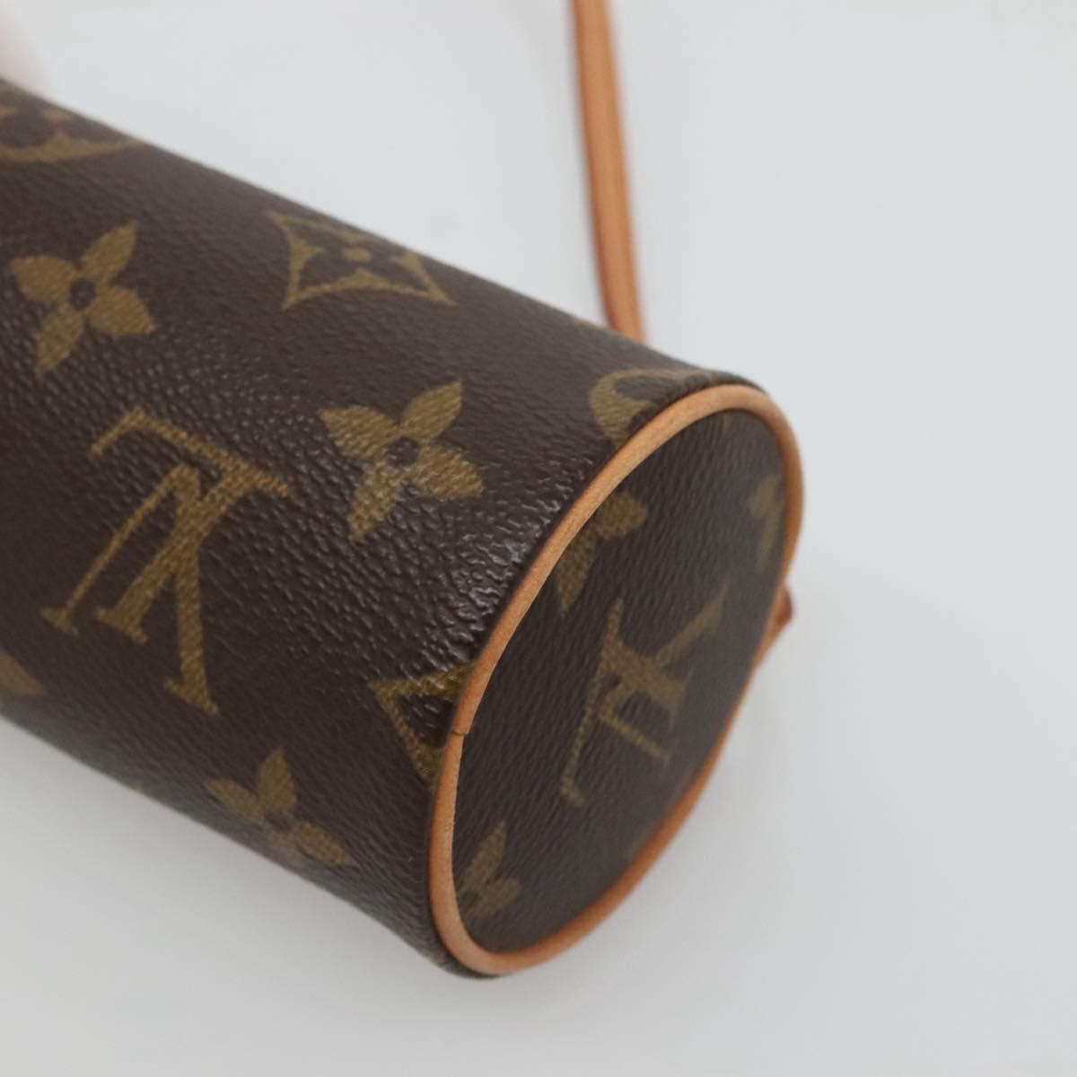 Louis Vuitton Brown Canvas Papillon