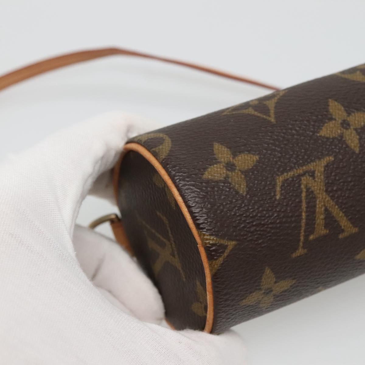 Louis Vuitton Brown Canvas Papillon