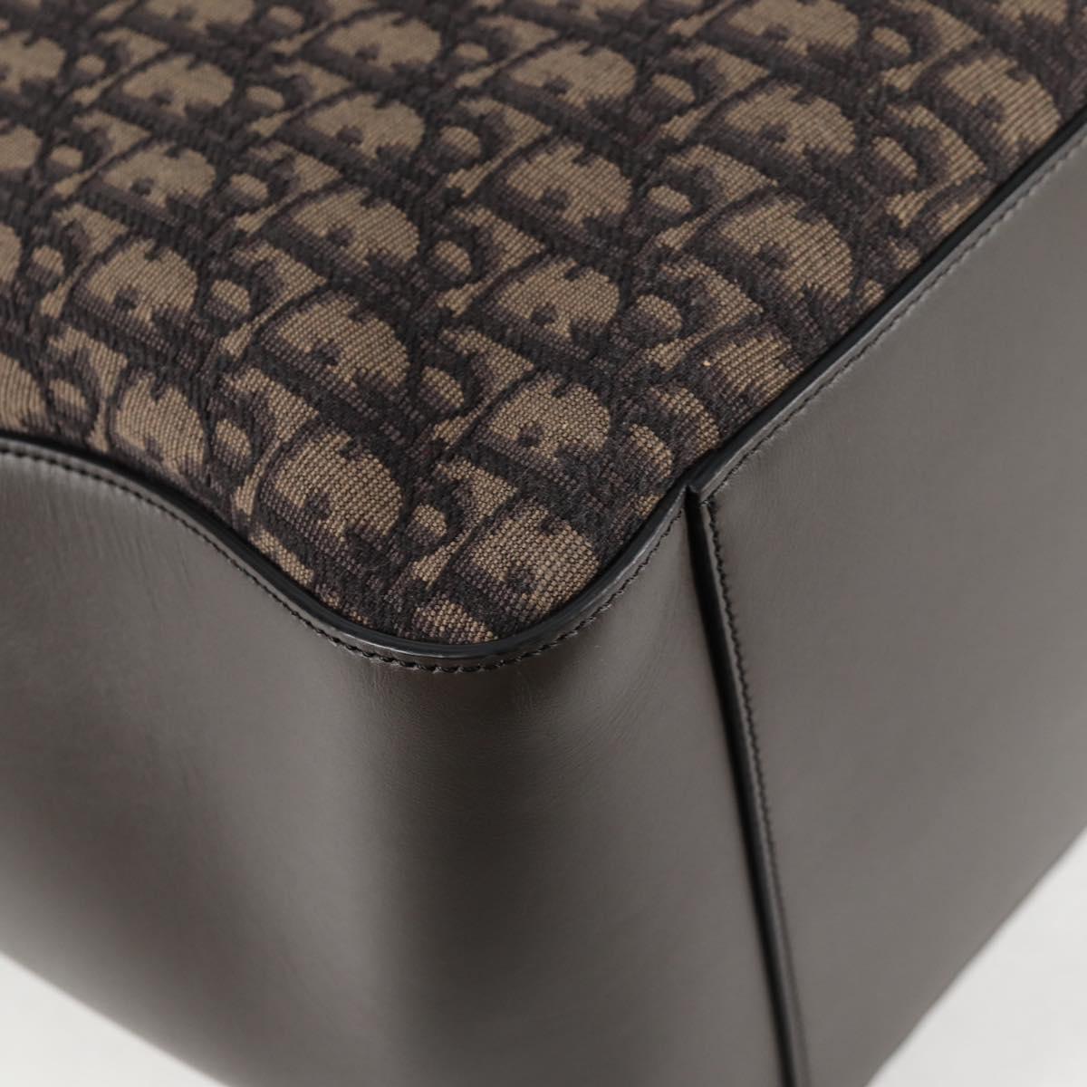 Dior Brown Canvas Trotter