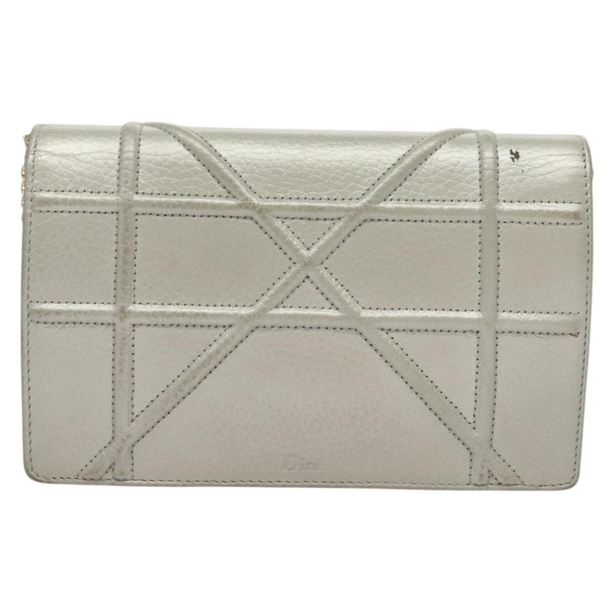 Dior Silver Leather Diorama