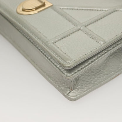 Dior Silver Leather Diorama