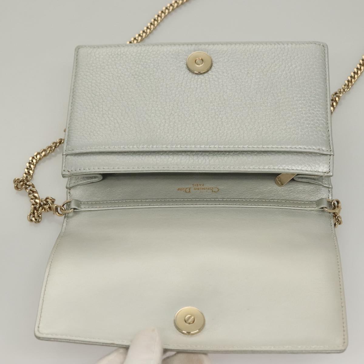 Dior Silver Leather Diorama