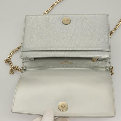 Dior Silver Leather Diorama
