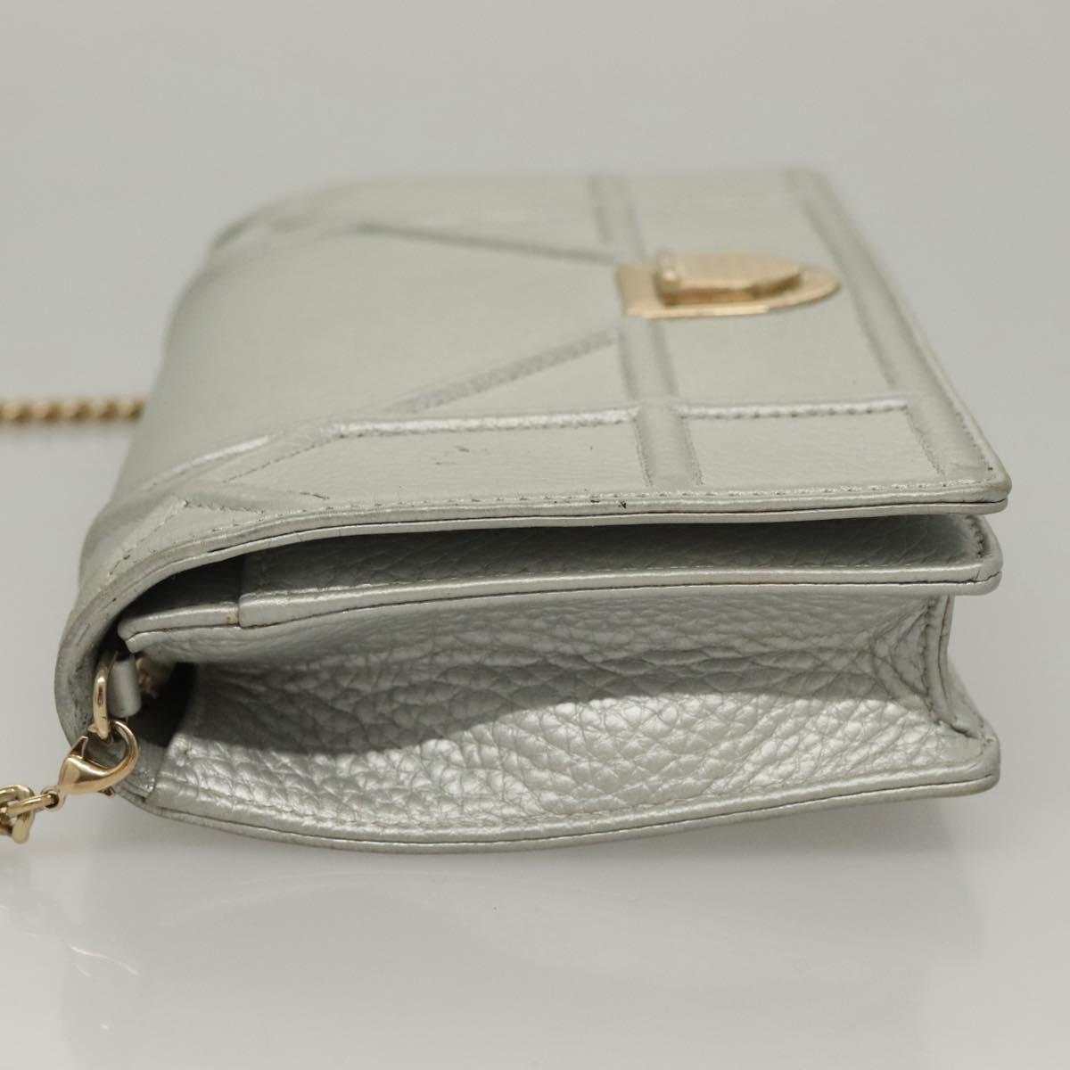 Dior Silver Leather Diorama