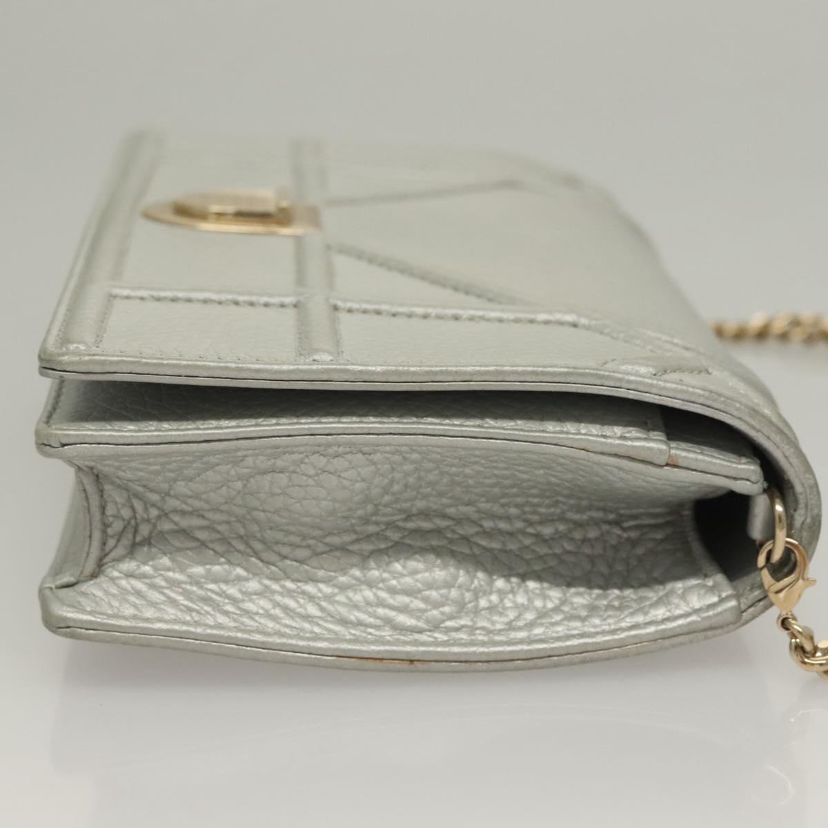 Dior Silver Leather Diorama