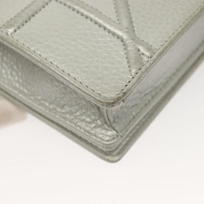 Dior Silver Leather Diorama