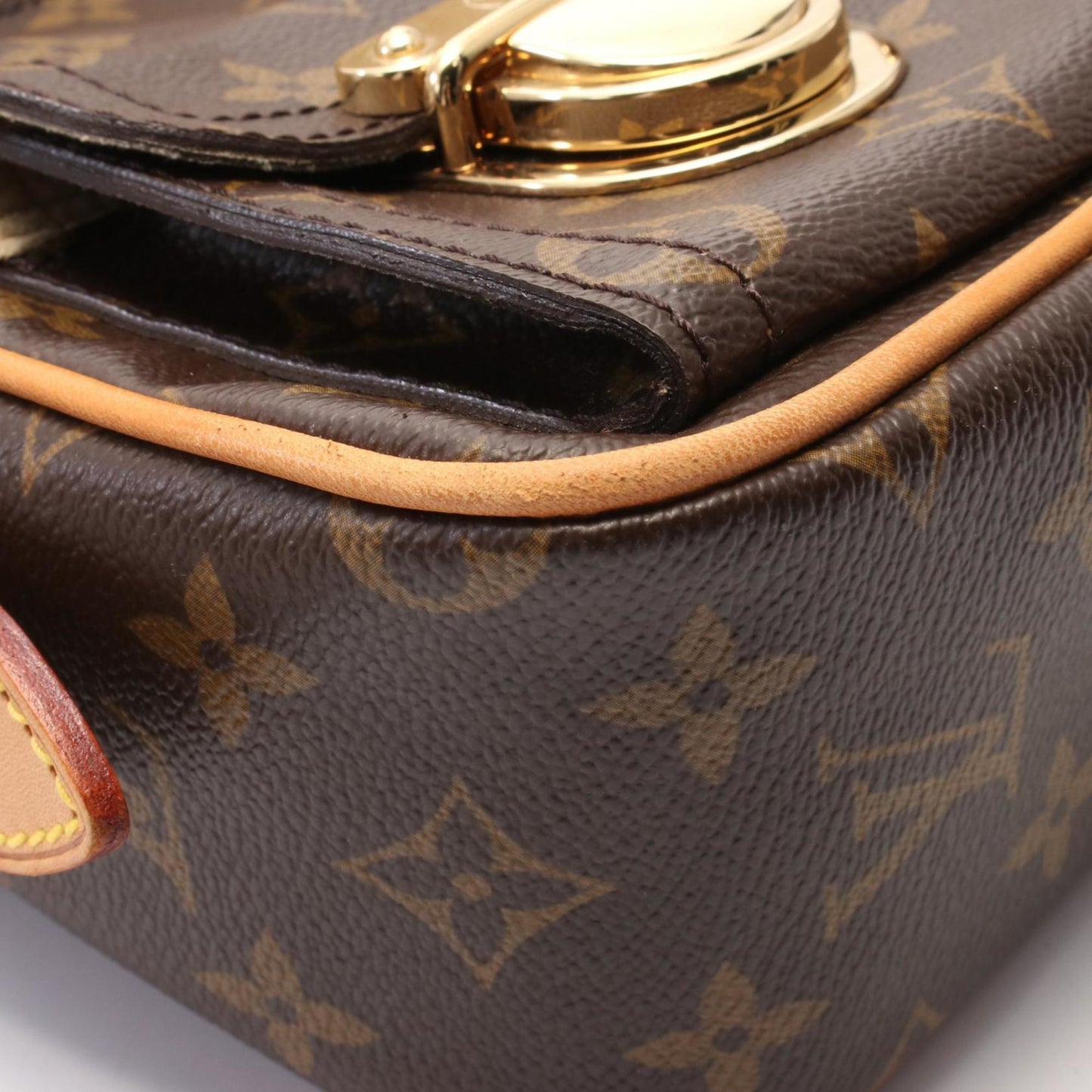Louis Vuitton Brown Canvas Hudson