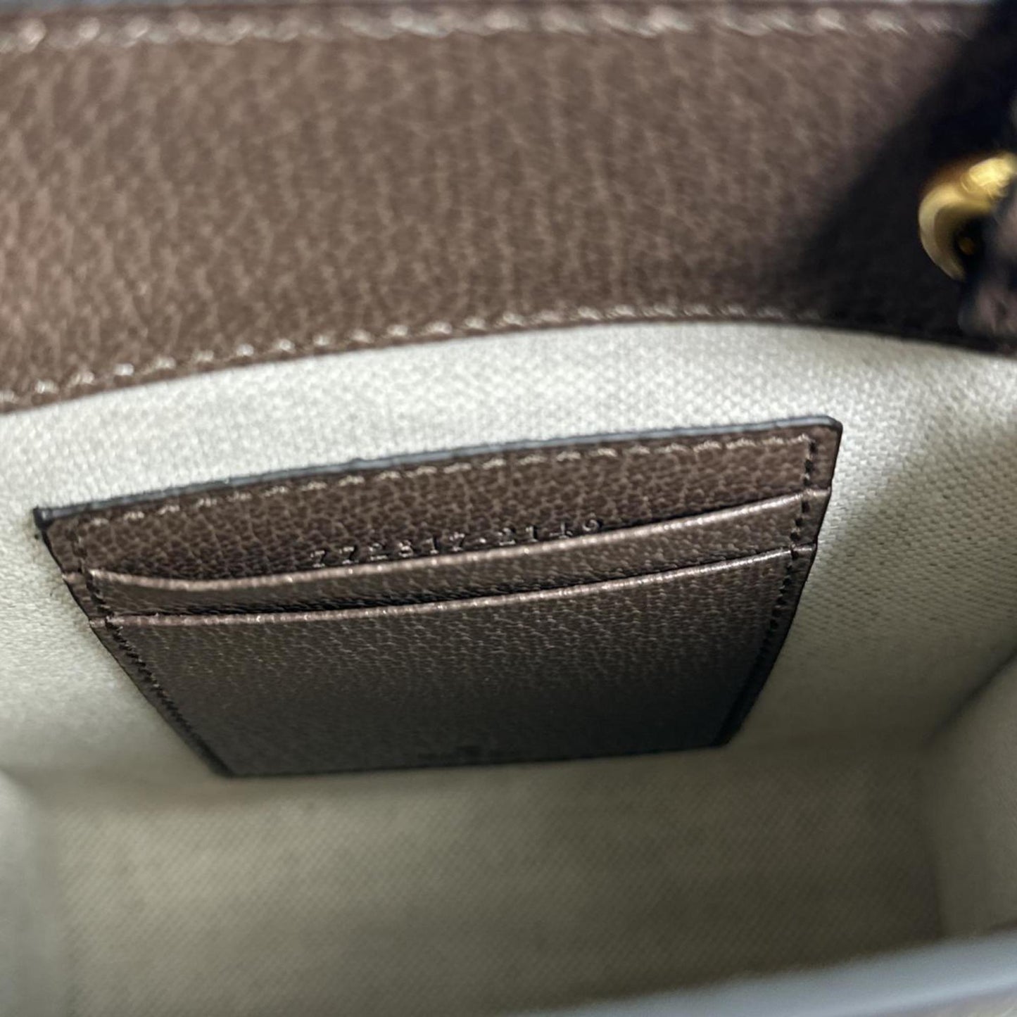 Gucci Brown Canvas, Leather Ophidia