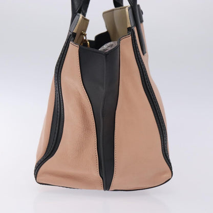 Chloé Pink Leather Alison